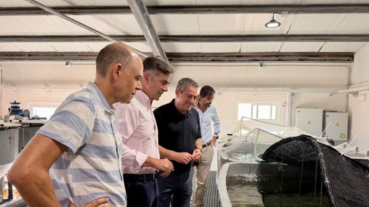 El consejero Joaquín Buendía junto al alcalde de San Pedro del Pinatar y los investigadores del IMIDA que están desarrollando el proyecto de reproducción de la sepia.