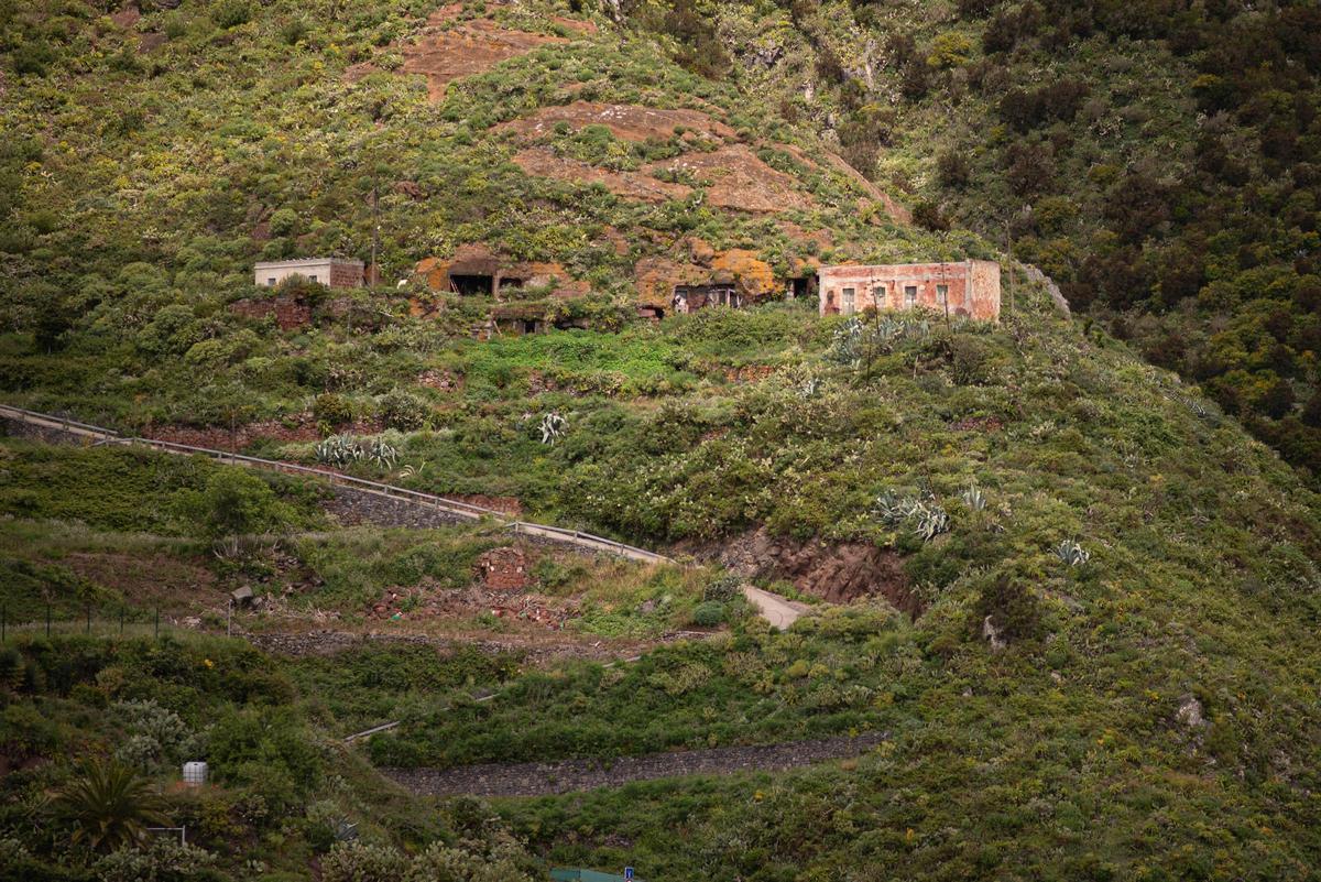 Catalanes, en Santa Cruz de Tenerife