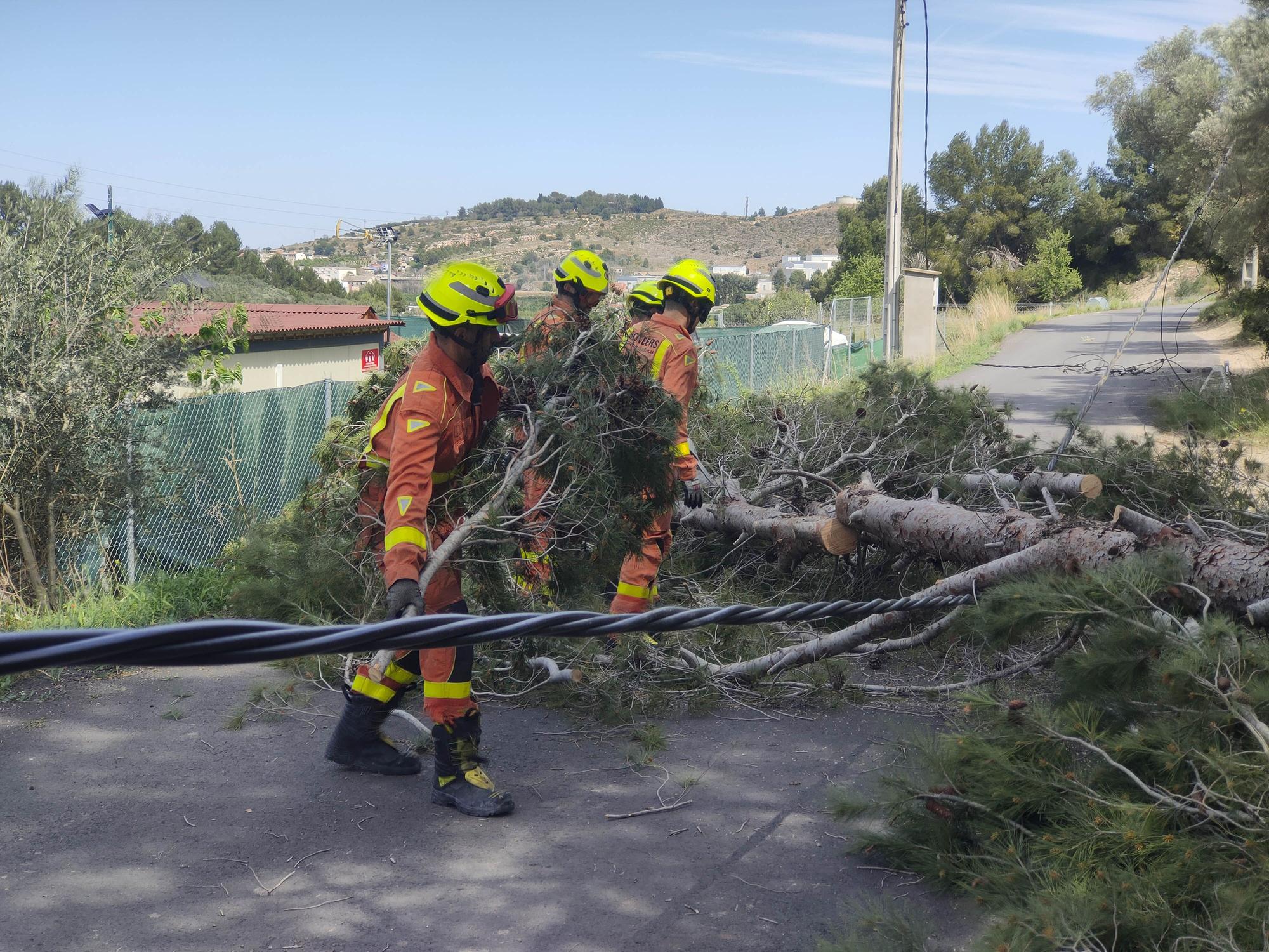 La caída de un árbol deja sin luz a varios chalets en el Carraixet