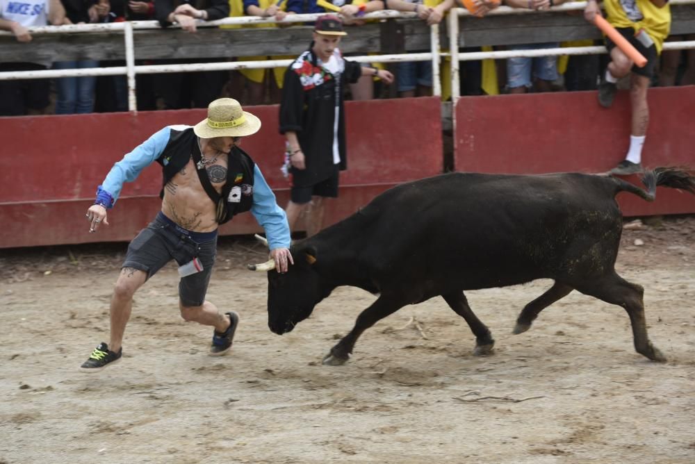 Vaquetes de Santpedor 2018