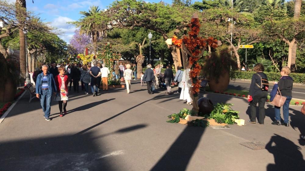 Concurso de Cruces de Flores Naturales