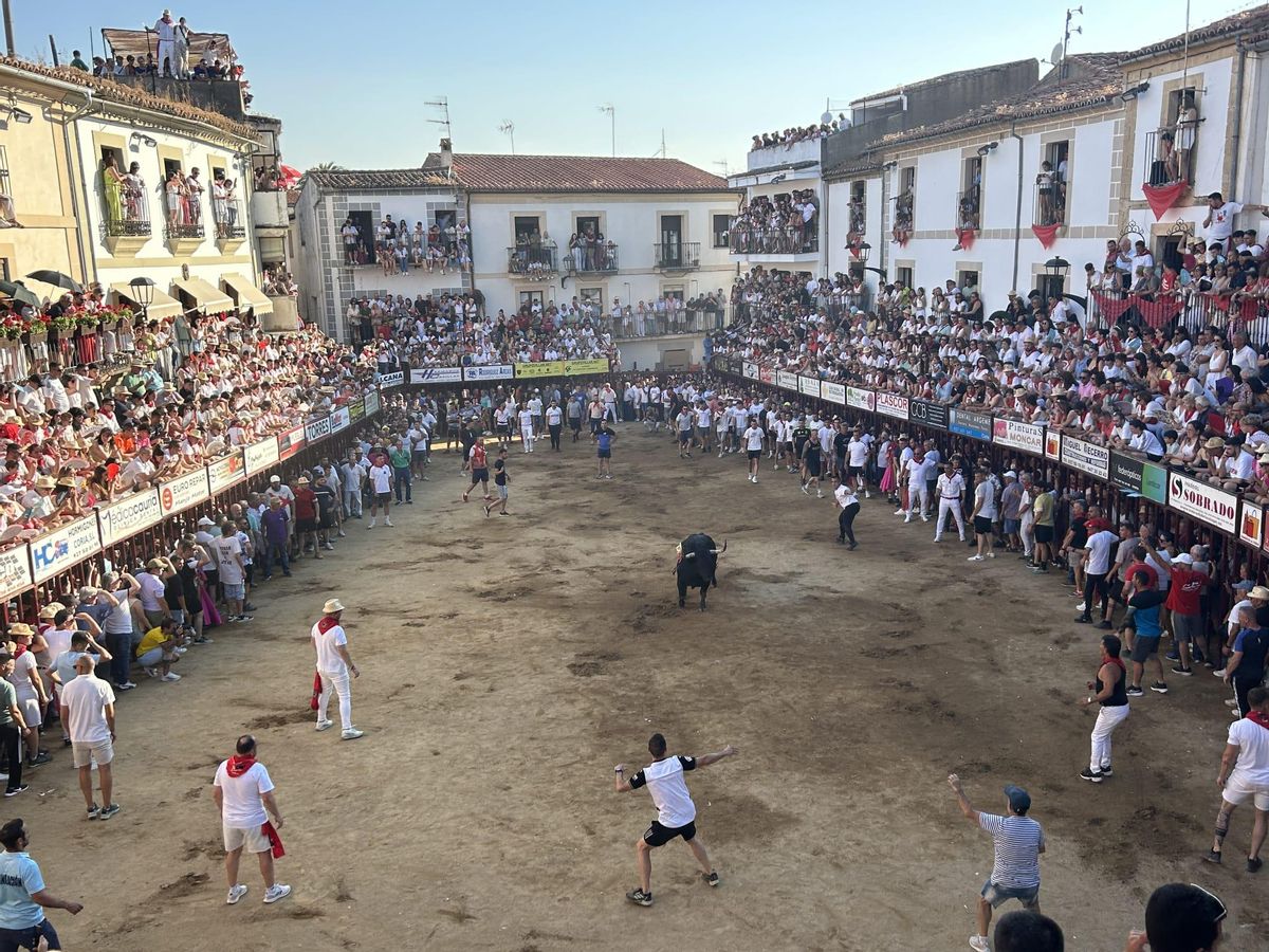 Sanjuanes de Coria.C