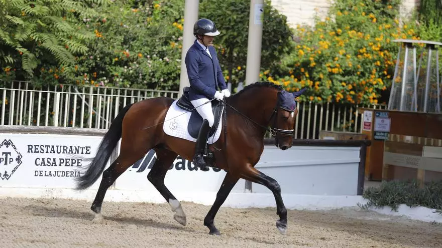 Campeonato de Europa del Caballo Lusitano
