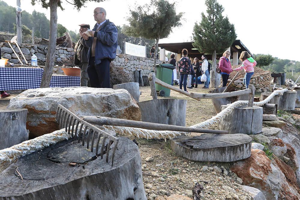 Los colegios de Sant Antoni inauguraron ayer esta fiesta al aire libre que continúa todo el fin de semana.