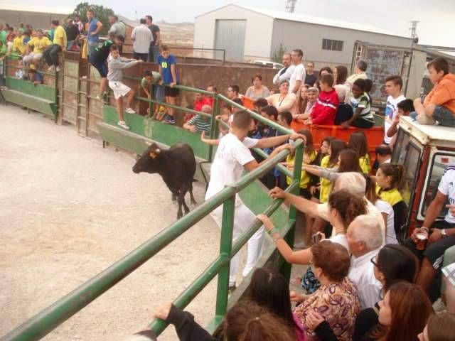 Fiestas de Lécera