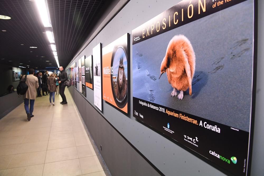 El trabajo gráfico hace un recorrido por el tiempo en el que se pueden ver temas como la sobrepesca o la contaminación por plástico en los océanos.