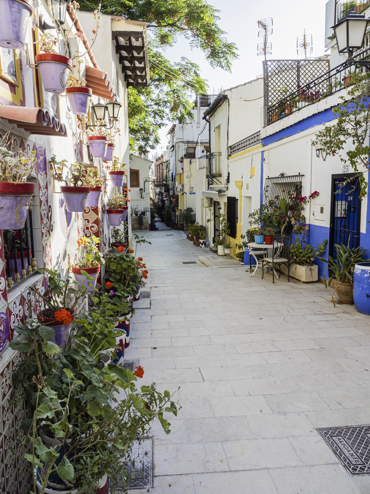 Las calles de Alicante son encantadoras.