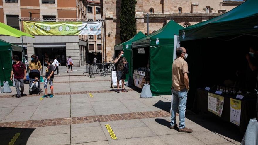 El mercado ecológico de Zamora regresa tras cuatro meses sin actividad