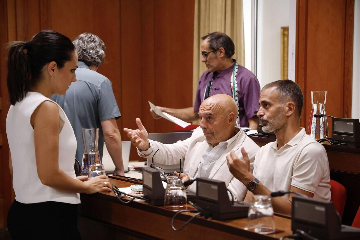 Pleno Ordinario de JULIO en el ayuntamiento de Córdoba
