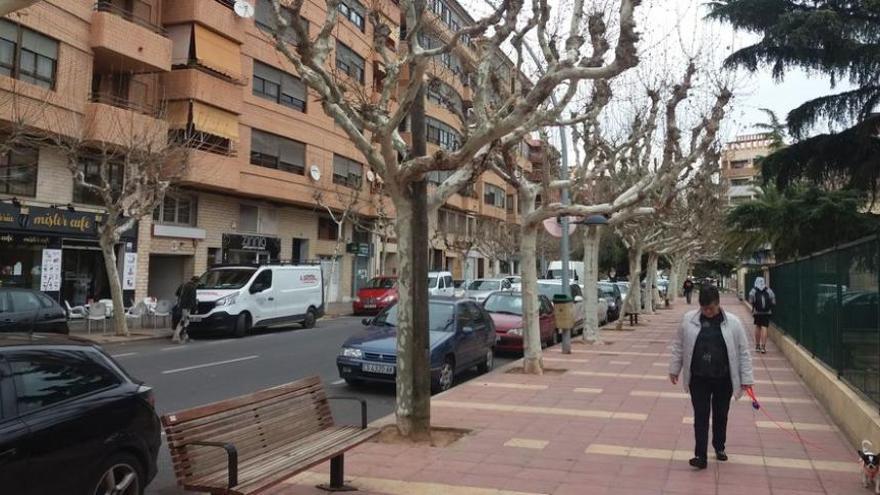 Vila-real limita la poda de los árboles a las avenidas por retrasos en la licitación