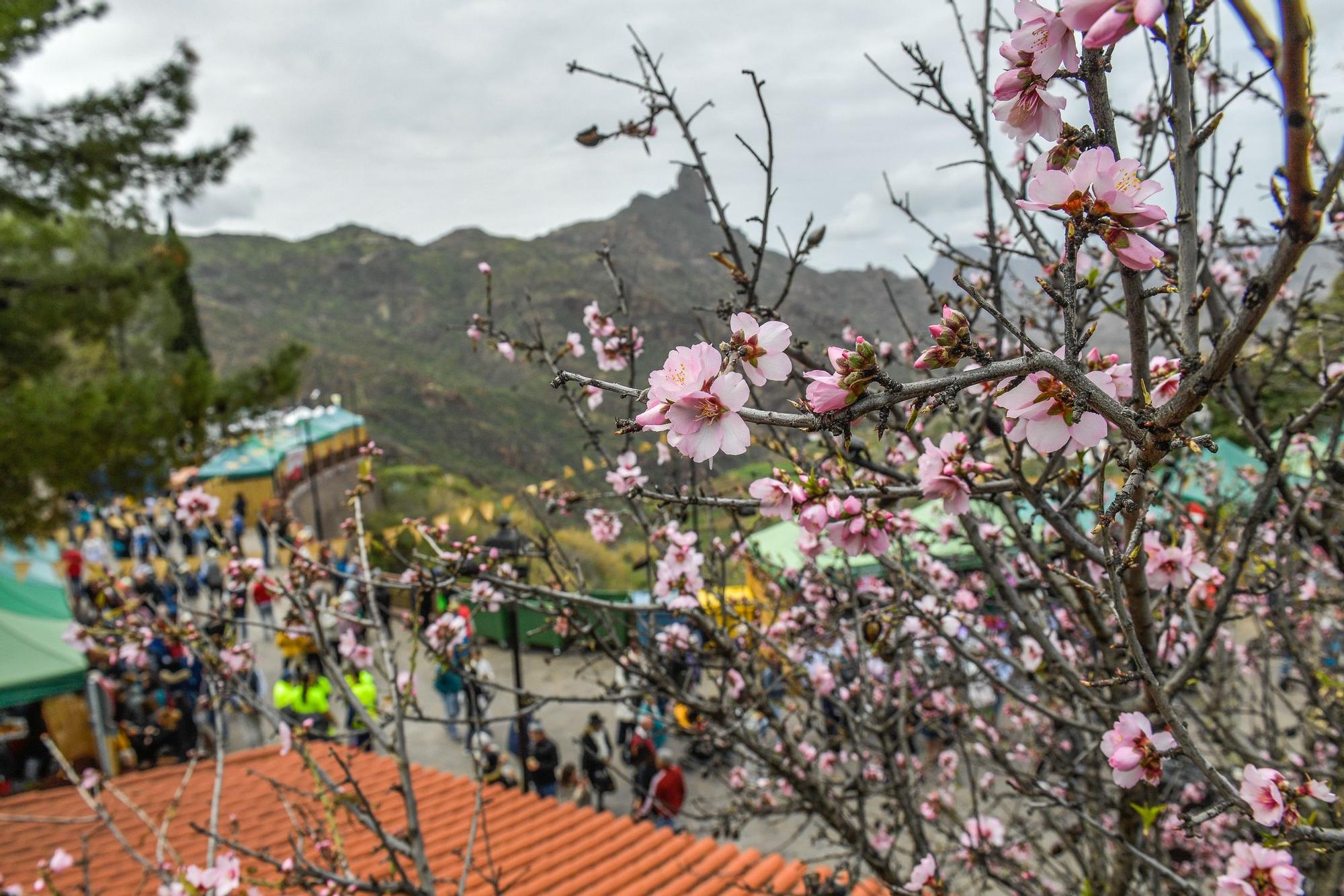 Fiesta del Almendro en Flor en Tejeda