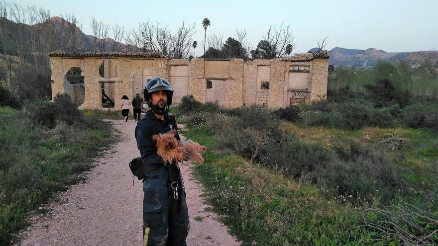 Rescatan a un perro tras caerle el techo encima