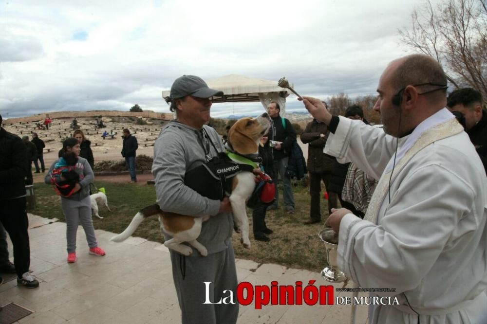 Jornada especial por San Antón en la Fortaleza del Sol de Lorca