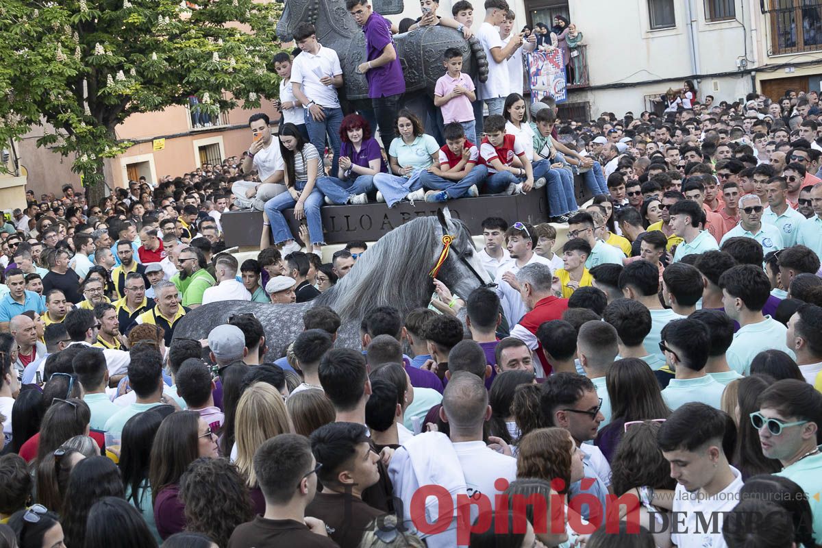 Fiestas de Caravaca | Entrega de premios del concurso morfológico