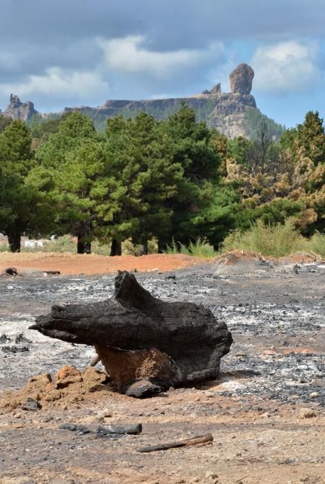 INCENDIO CUMBRE