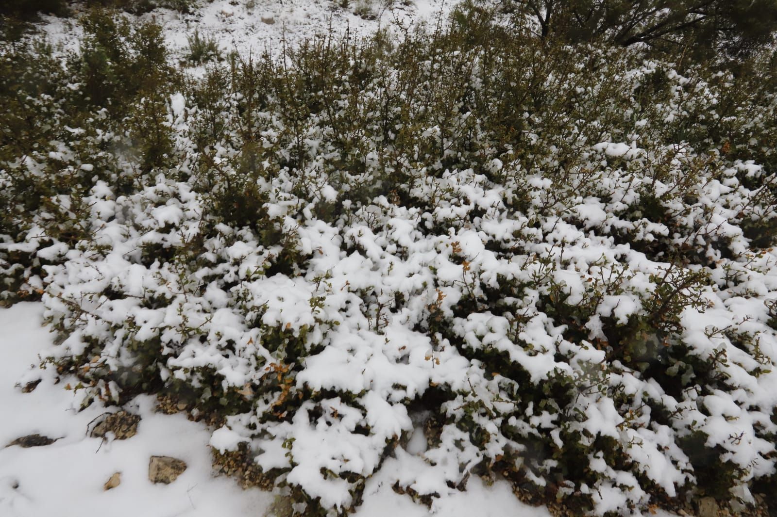 La nieve llega a Enguera