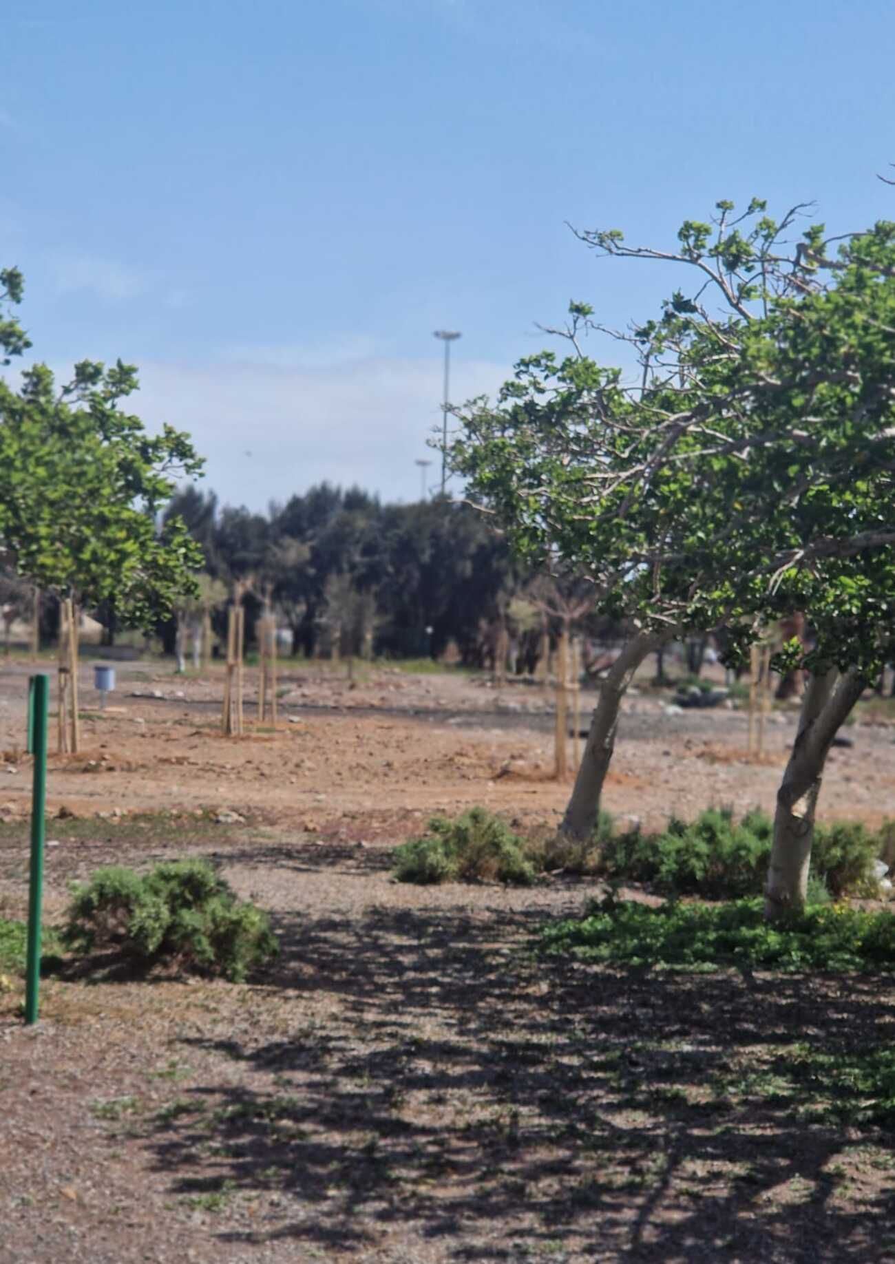 Vecindario tiene el mayor pulmón verde del Sureste