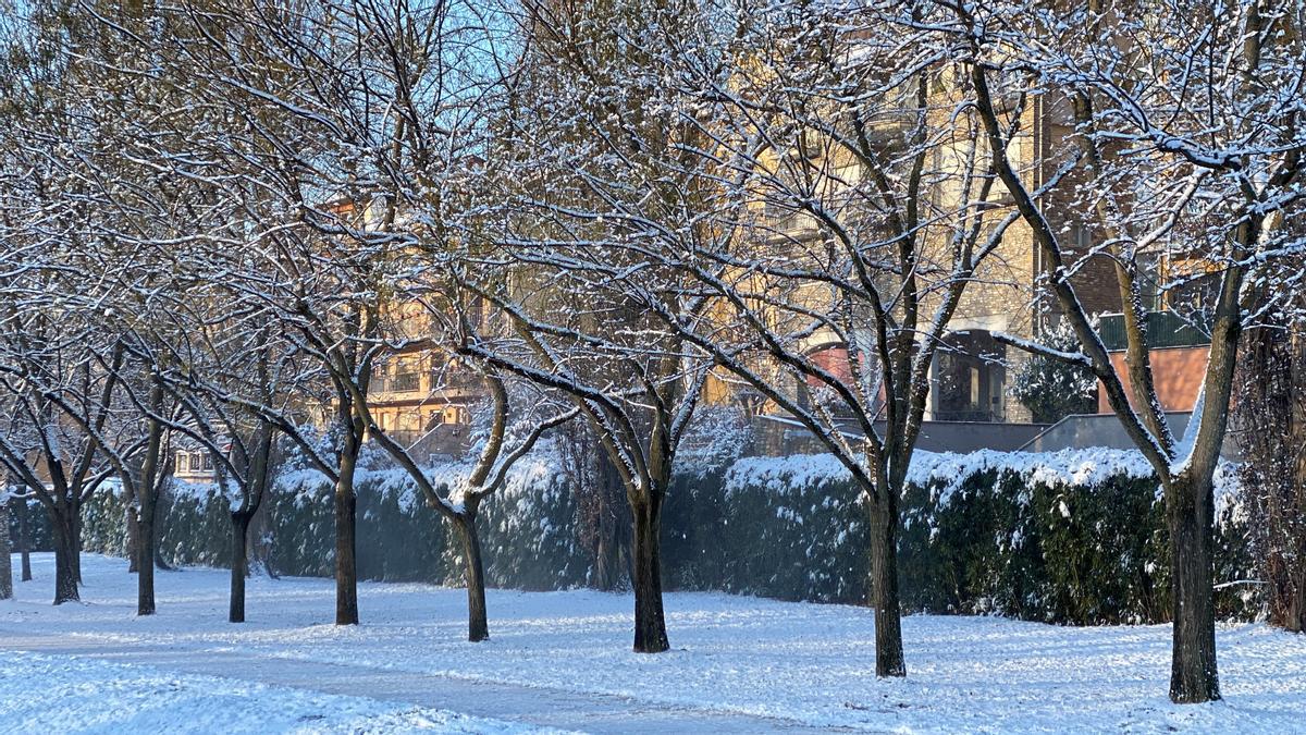 Árboles nevados en la zona del canal de aguas bravas del Parc del Segre en La Seu d’Urgell.