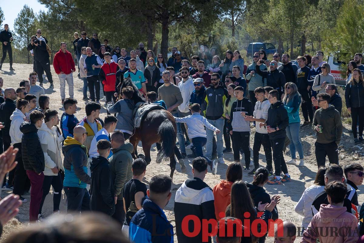 Convivencia Caballos del Vino de la Peña Artesano