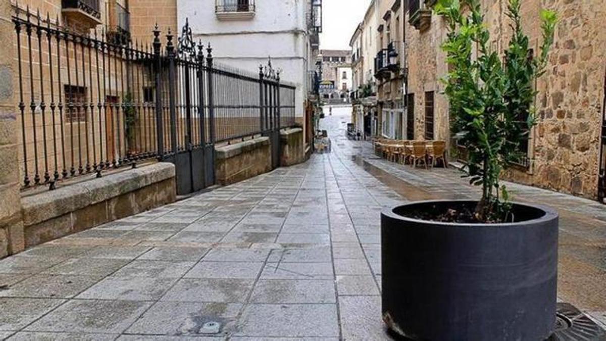 Imagen de archivo de los maceteros plantados en la ciudad.