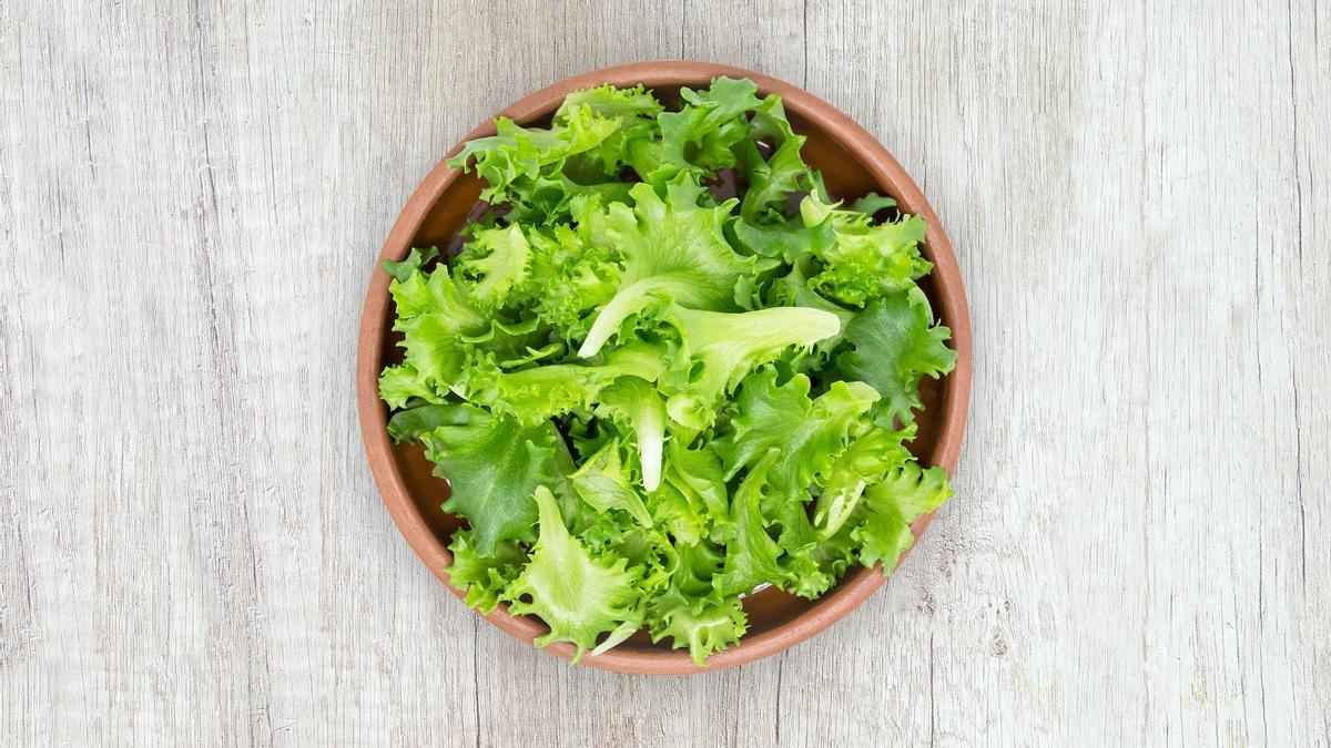 Siete consejos para conservar las ensaladas de bolsa y que aguanten frescas  más tiempo