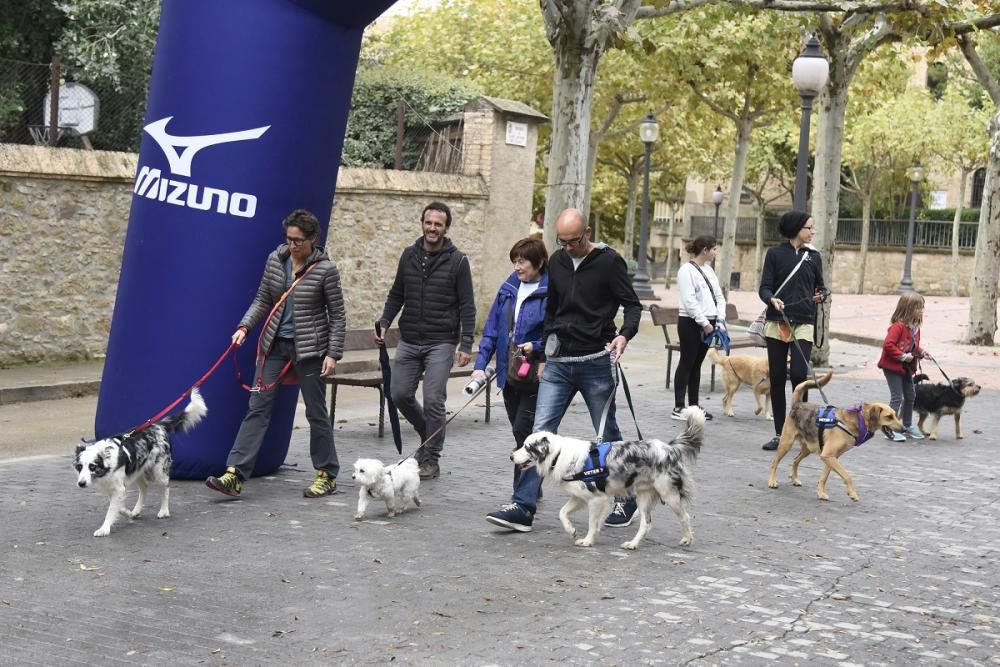 Caminada solidària de Regió7 a Solsona