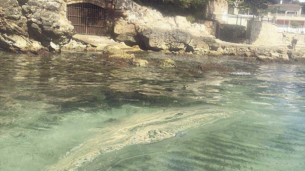 Vertido en la costa que se extiende del Oratori de Portals hasta Illetes.