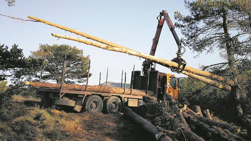 Los propietarios forestales urgen ya medidas para frenar los incendios