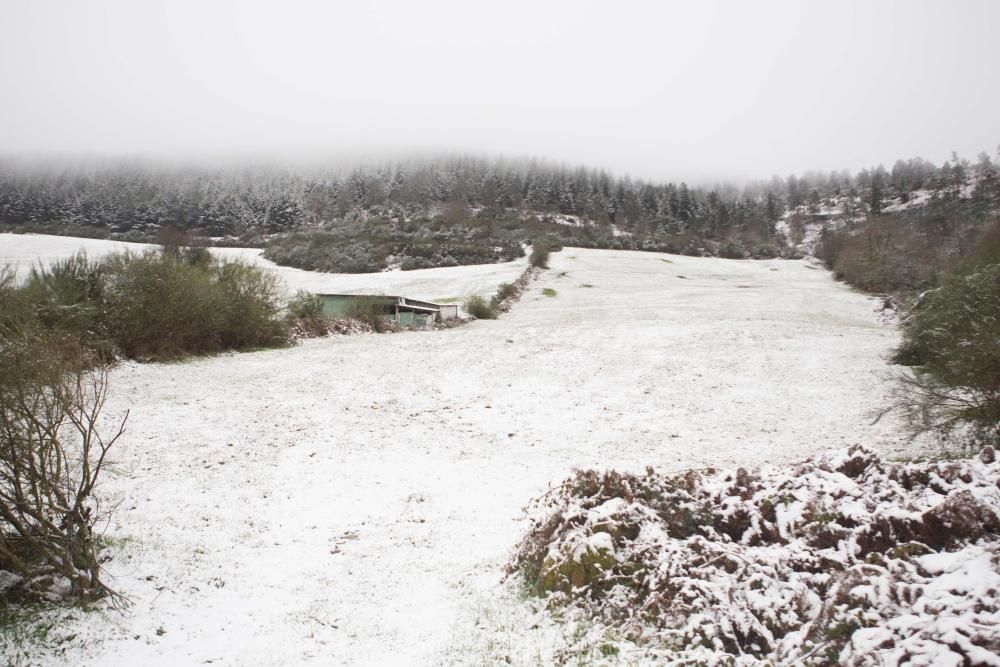 Llegan las primeras nevadas a Galicia