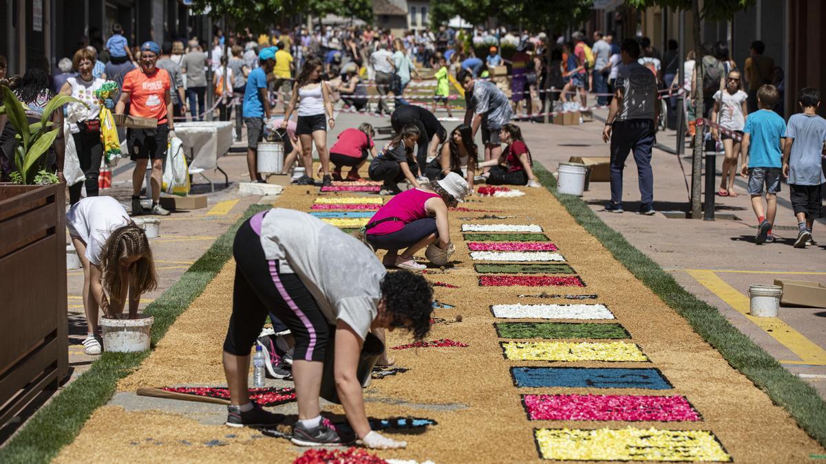 Foto d&#039;arxiu de les Catifes de Flors a Arbúcies.