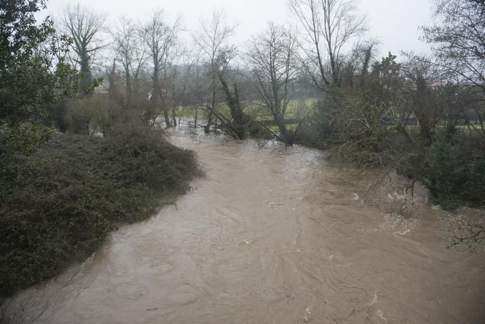 Las inundaciones en El Requexón