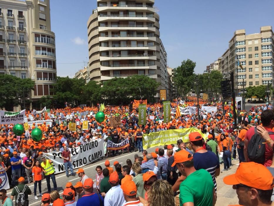 Manifestación del mundo rural en las calles de València