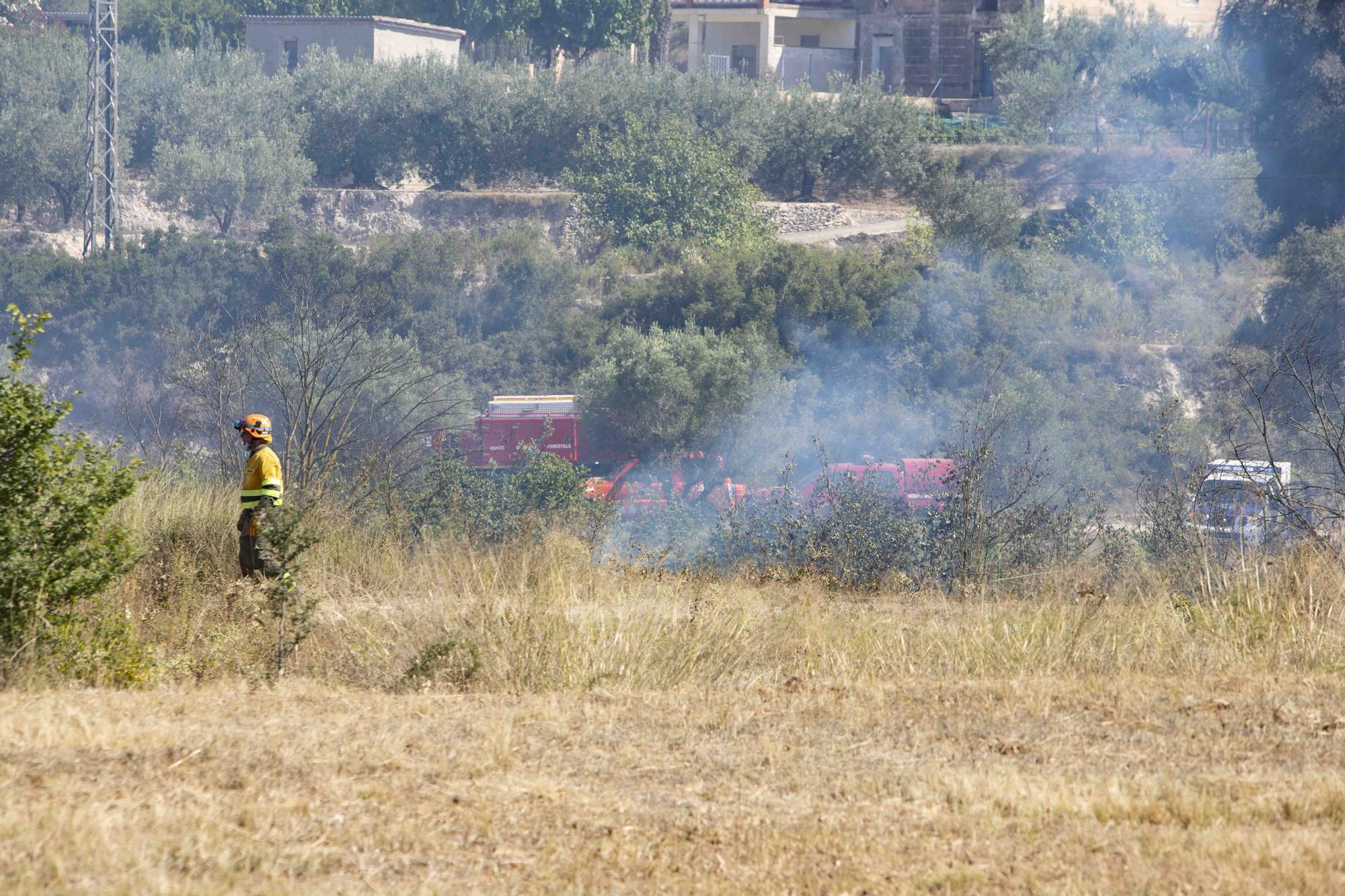 Los incendios de Ontinyent y L'Olleria movilizan una importancia dotación de bomberos y hasta 16 medios áreos