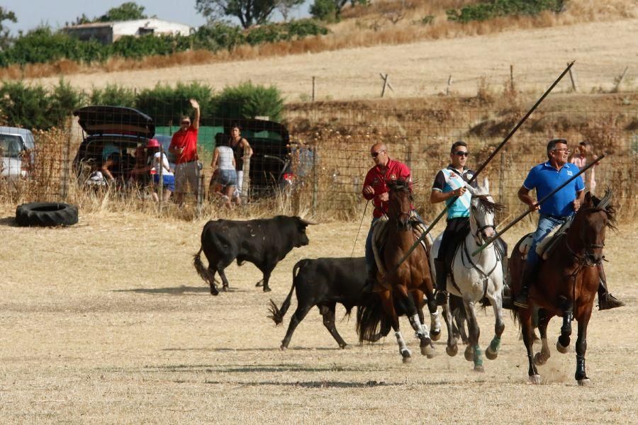 Fiestas en Zamora: Espantes en Fuentelapeña