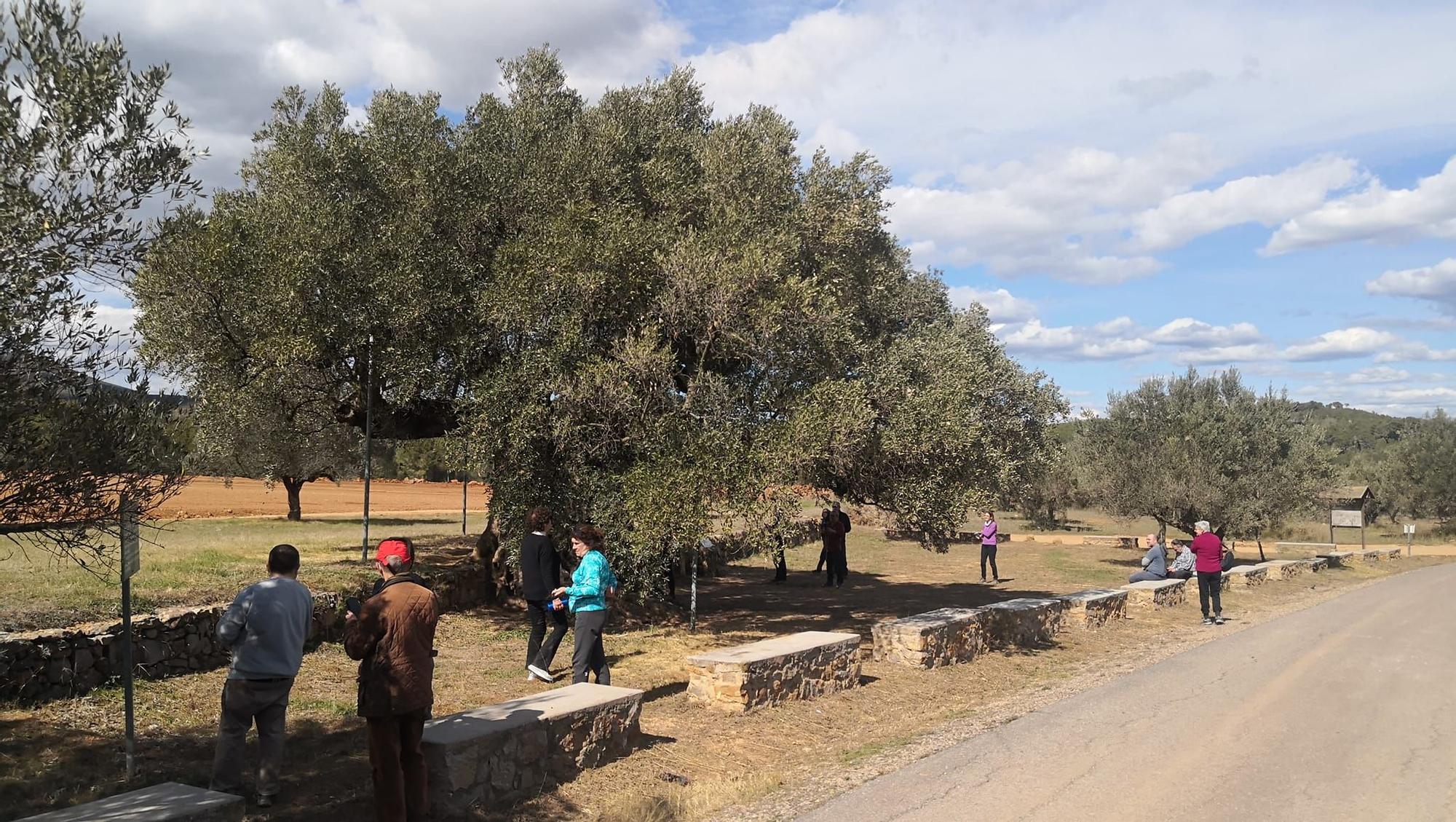 De Navajas a La Morruda de Segorbe