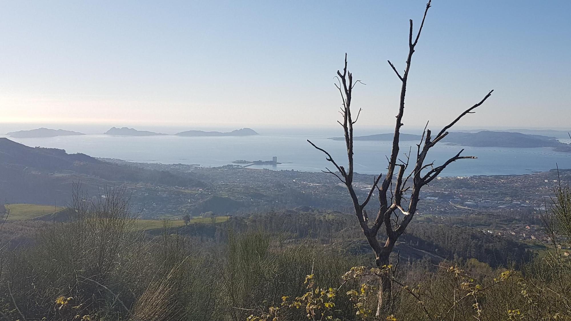 Un paseo por los montes Alba y Cepudo, dos de los mejores miradores de Vigo. / Alberto Blanco