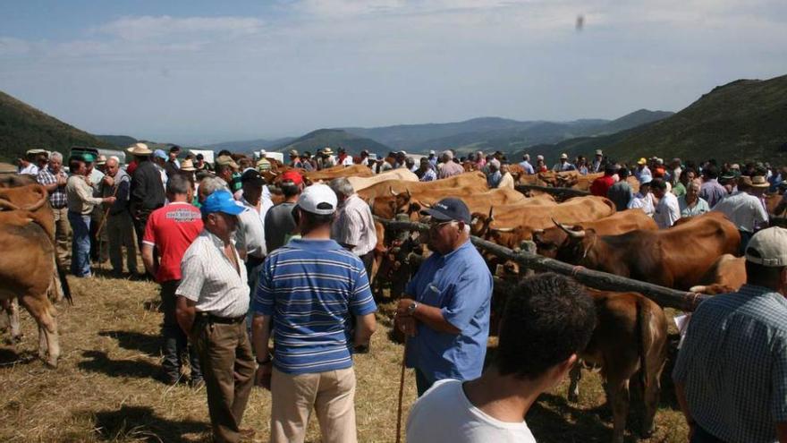 Feria ganadera en el alto de La Garganta.