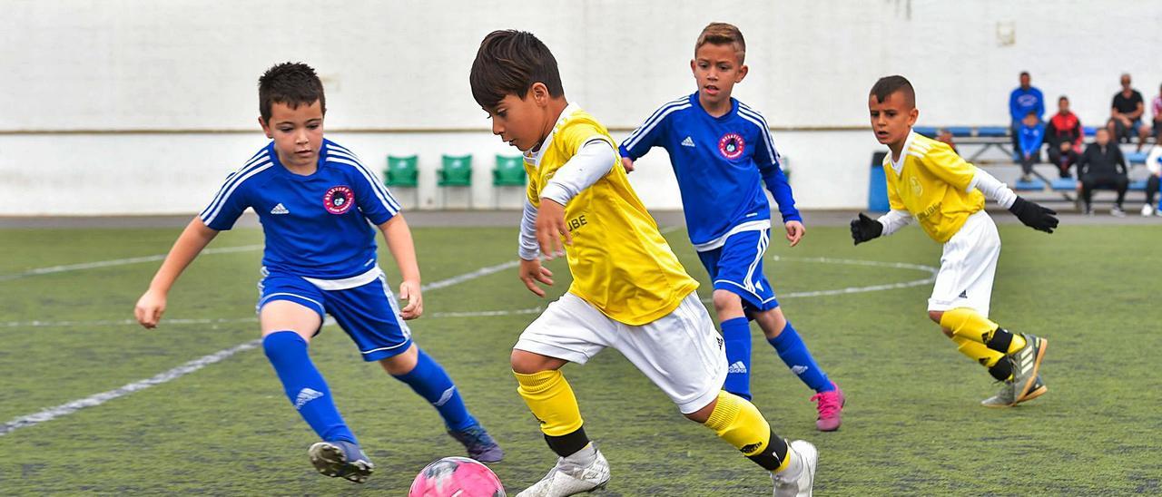 Partido de prebenjamines entre el Atlético Gran Canaria y el Football Proyect correspondiente a la liga de la temporada pasada, antes de la pandemia.  | | ANDRÉS CRUZ