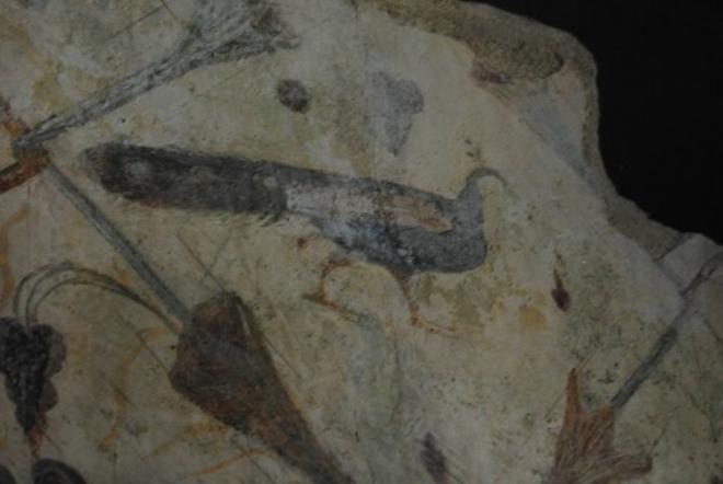 Santa Eulalia de Bóveda, el templo misterioso