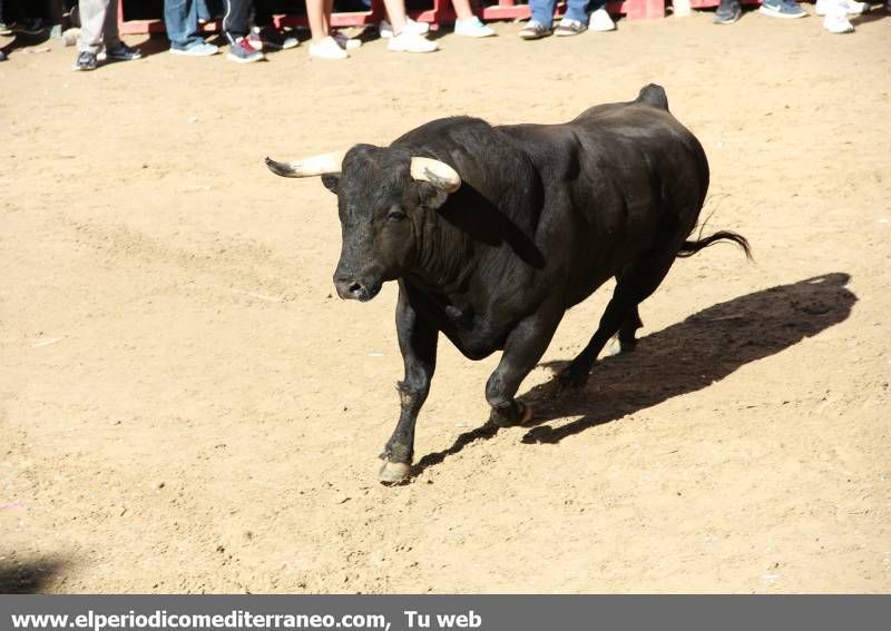 GALERÍA DE FOTOS -- Jornada dominical de Santa Quitèria en Almassora