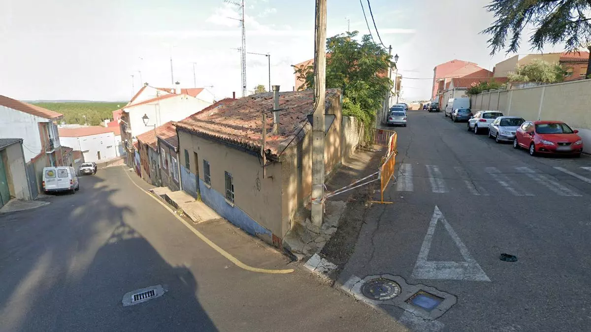 Hallan siete perros en una casa de Benavente, sin chip, ni vacuna y en condiciones inadecuadas