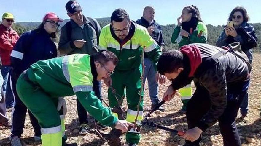 Una de las actividades de formación que realiza el Campus Diversia en Yátova.