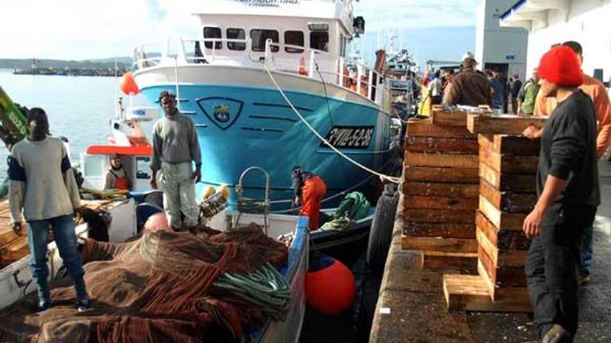 Trabajadores de un barco del cerco durante una descarga de pescado en Cambados.  // Iñaki Abella