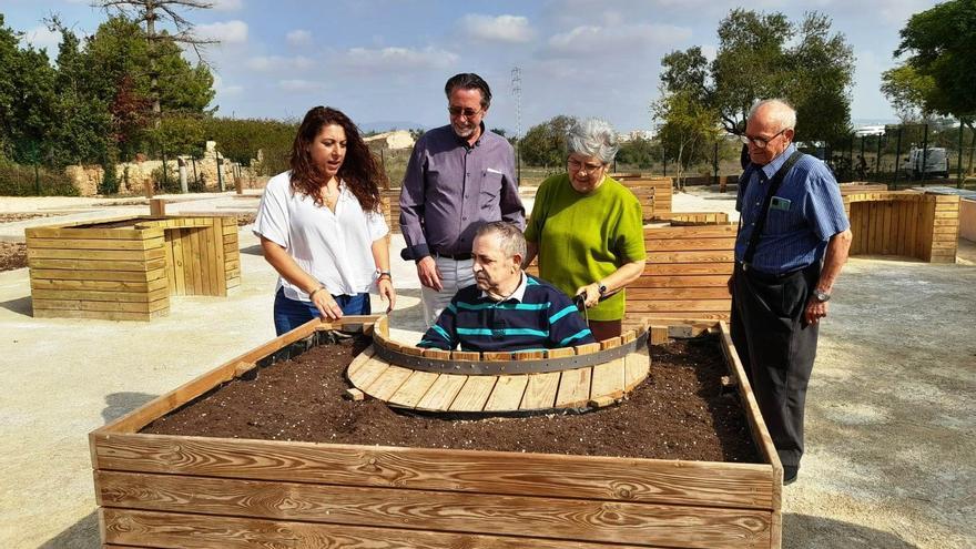 Abren al público los nuevos huertos comunitarios de Son Flor