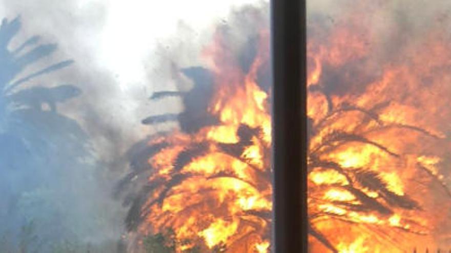 Uno de los incendios registrados en el municipio de Santa Úrsula durante la jornada del pasado domingo.