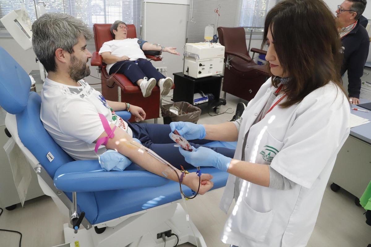 Varios donantes de sangre, siendo atendidos en el Centro de Transfusión de Córdoba.