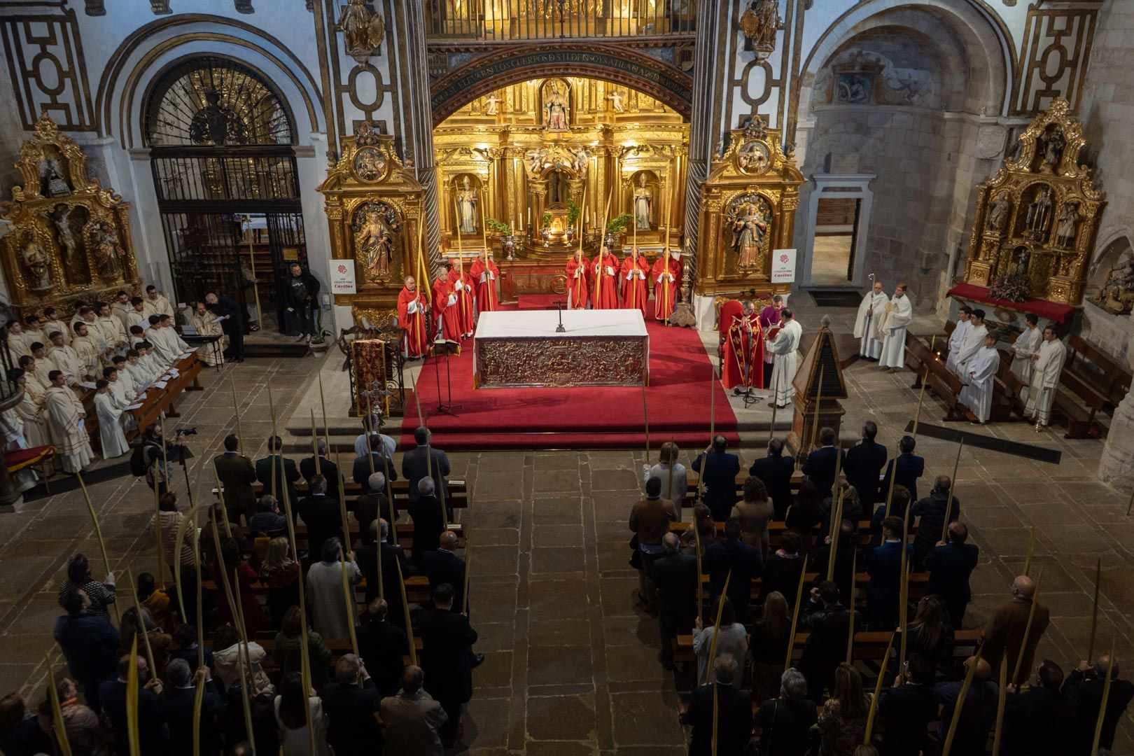 GALERÍA | Bendición de palmas y ramos en Zamora