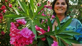 Muere en Barcelona la escritora e incansable viajera Ana María Briongos