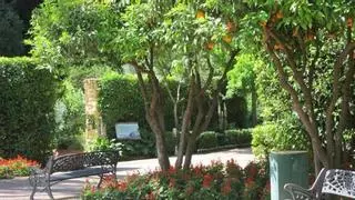 El Jardín Botánico acoge desde el 11 de julio una nueva edición del programa 'Raíces'