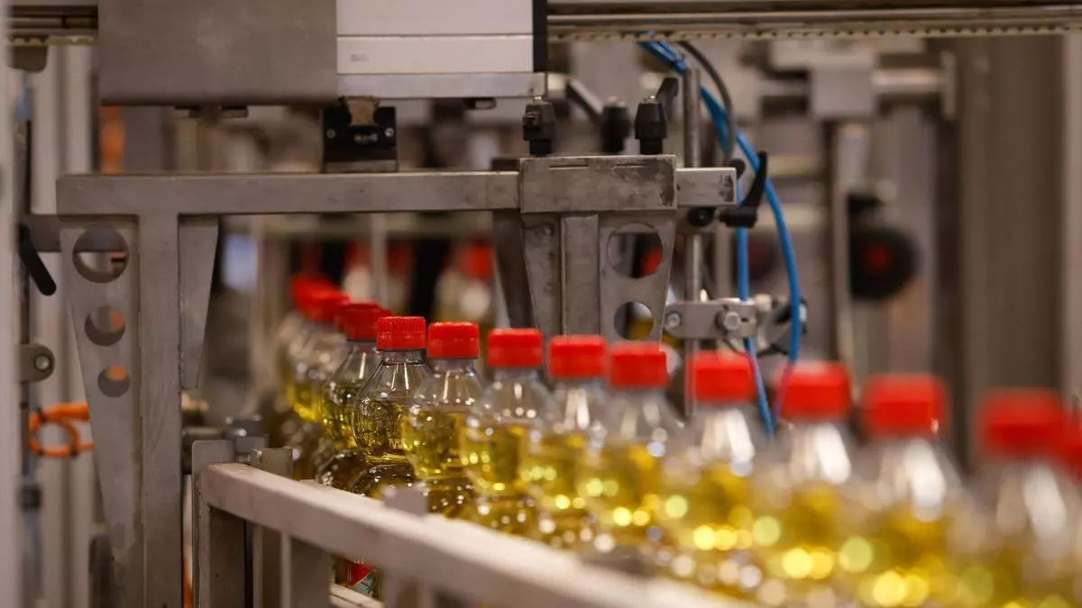 El Ministerio de Agricultura abre consulta pública de la norma de comercialización de aceite para la campaña 26/27